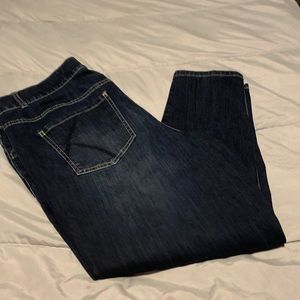 Lane Bryant dark wash jeans